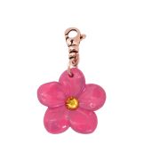 The Pink Cystus Florescence - 3