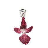 The Butterfly Orchid Florescence - 2