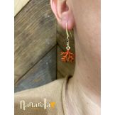 La Branche de Corail Vive l'été - 10