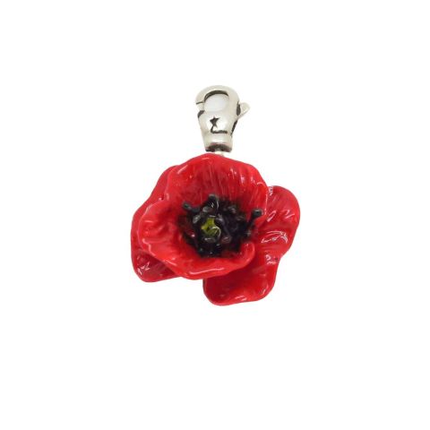 Le coquelicot Florescence - 2