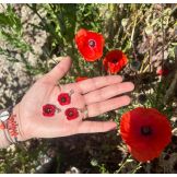 Le coquelicot Florescence - 6