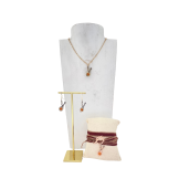 The Mandolin Typique - 1