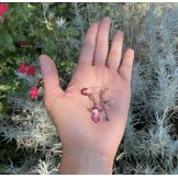 The Grannie Key Typique - 8