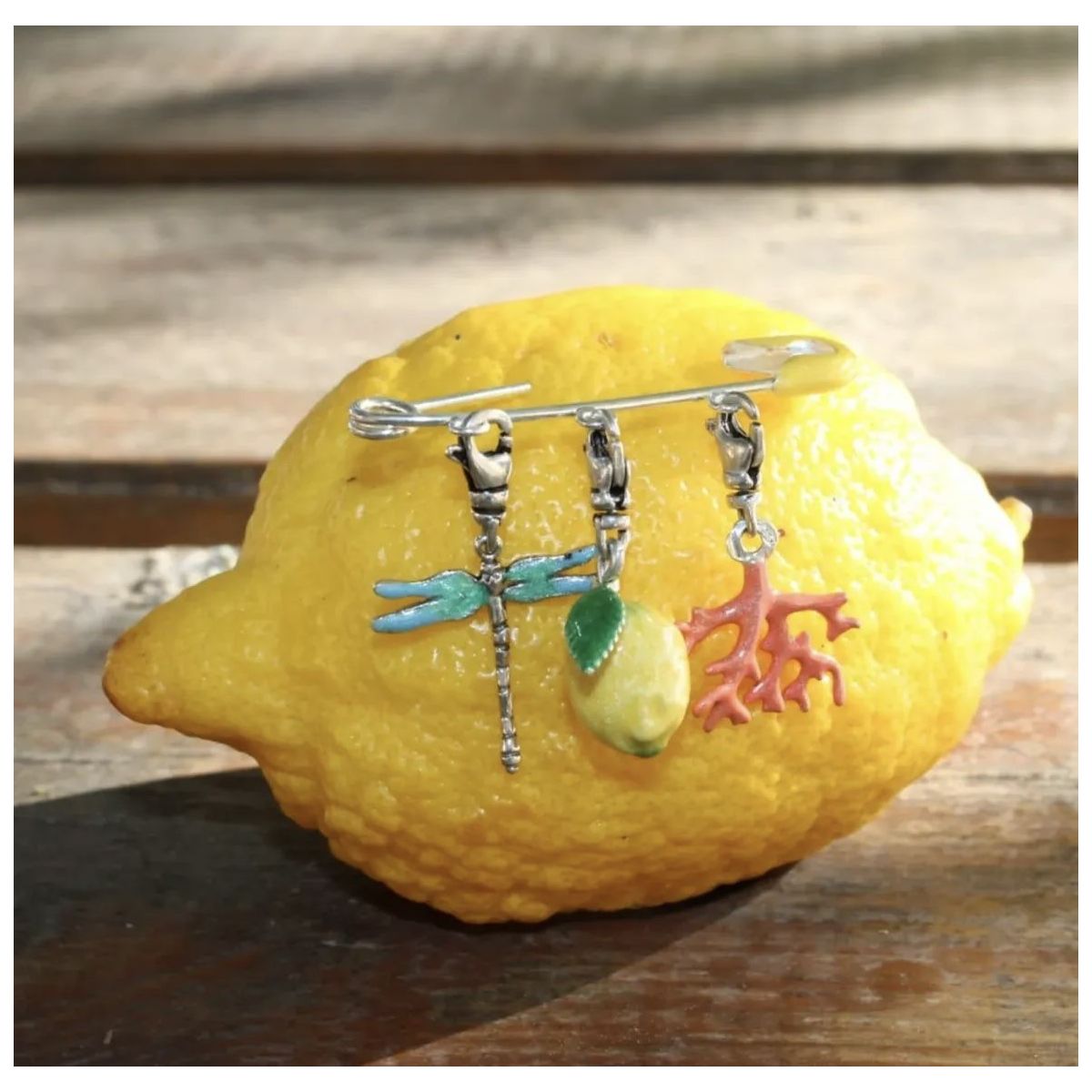 Charms La Libellule Instinct - 4 Charms La Libellule Instinct - 4